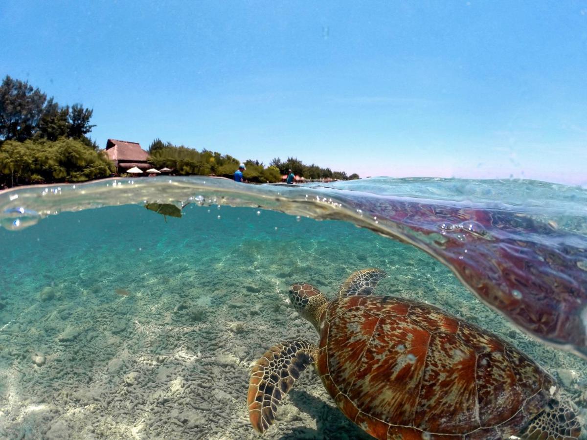 Mimpi Bungalow Gili Meno Eksteriør bilde